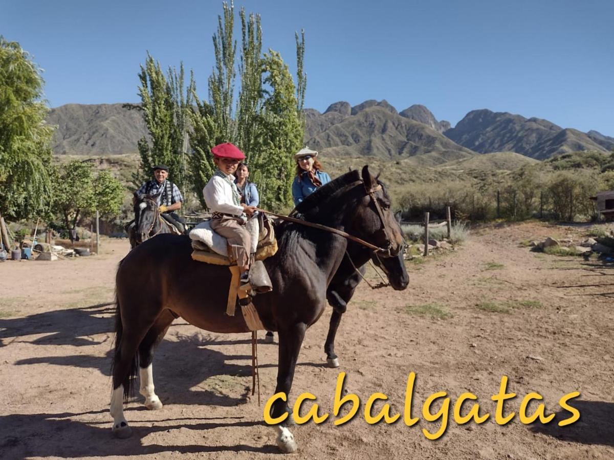 Cabana Pica Piedra Mendoza Dış mekan fotoğraf